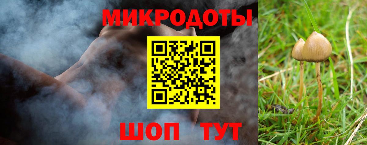 Галлюциногенные грибы GOLDEN TEACHER Кировск
