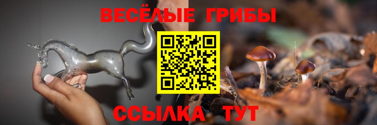 Псилоцибиновые грибы прущие грибы  Вход с VPN  Кировск  Псилоцибиновые грибы MAGIC MUSHROOMS 